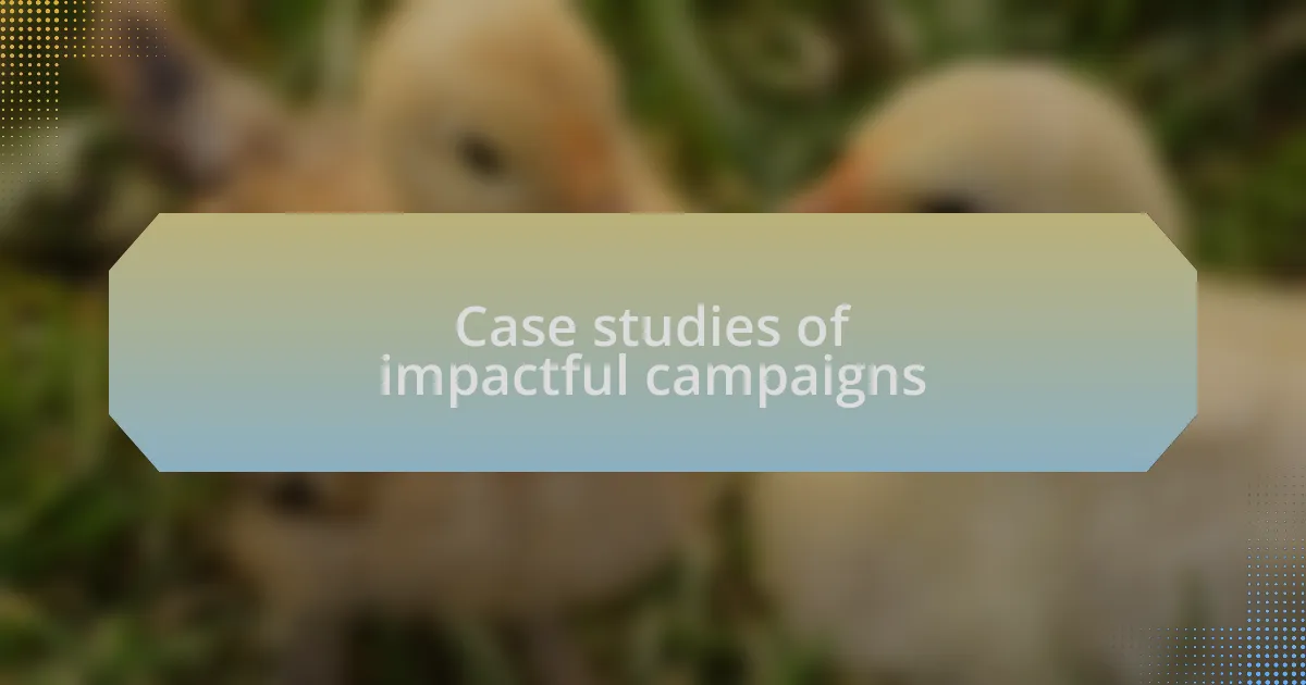 Case studies of impactful campaigns