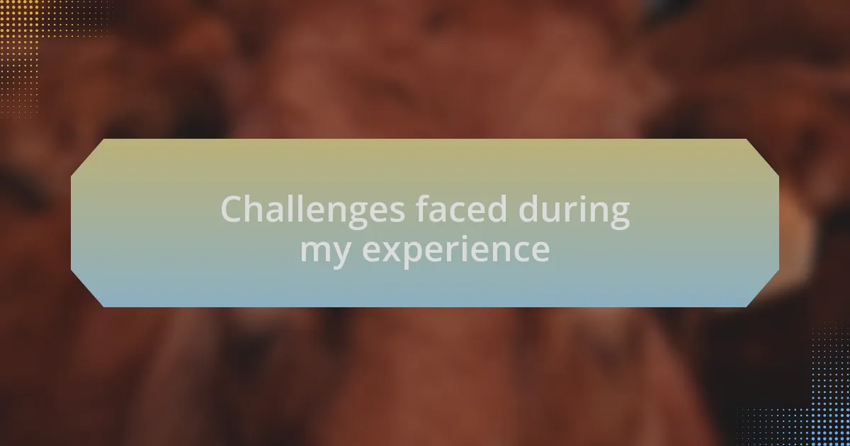 Challenges faced during my experience