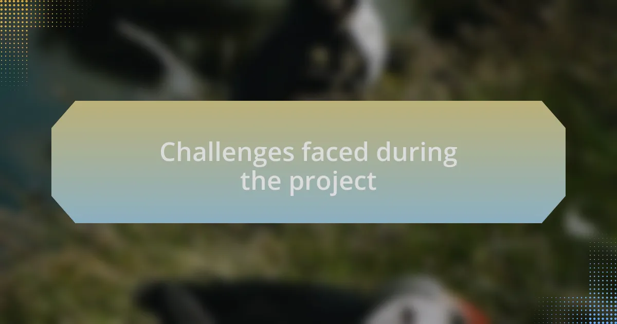 Challenges faced during the project