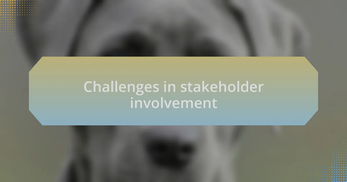 Challenges in stakeholder involvement