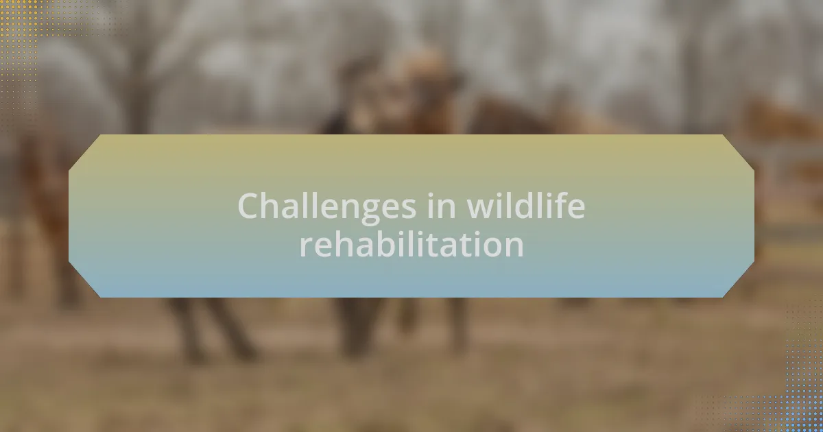 Challenges in wildlife rehabilitation