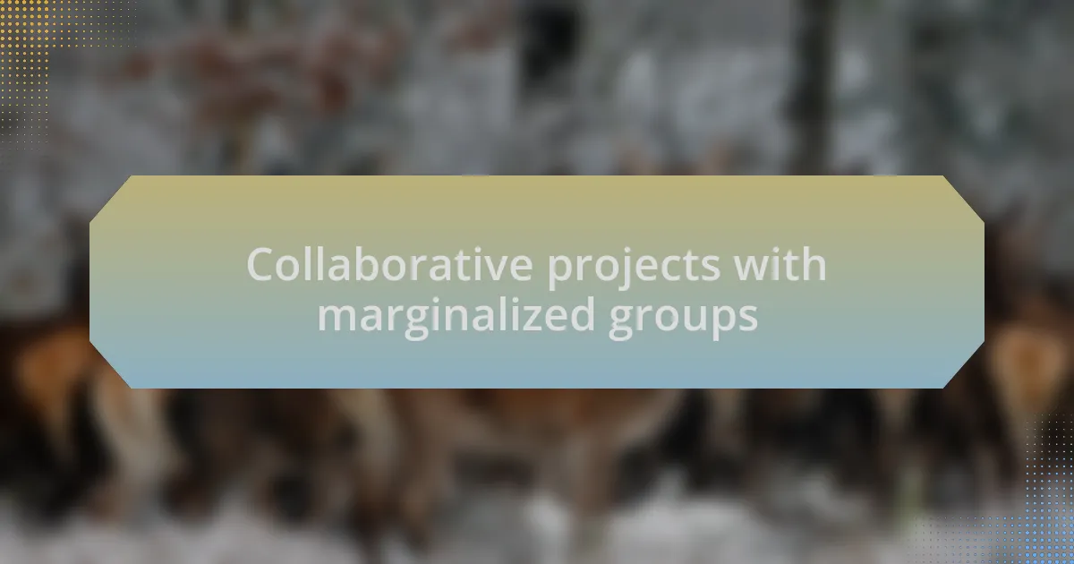 Collaborative projects with marginalized groups