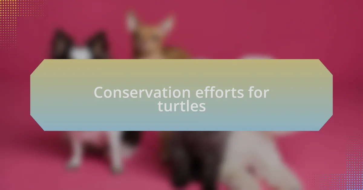 Conservation efforts for turtles