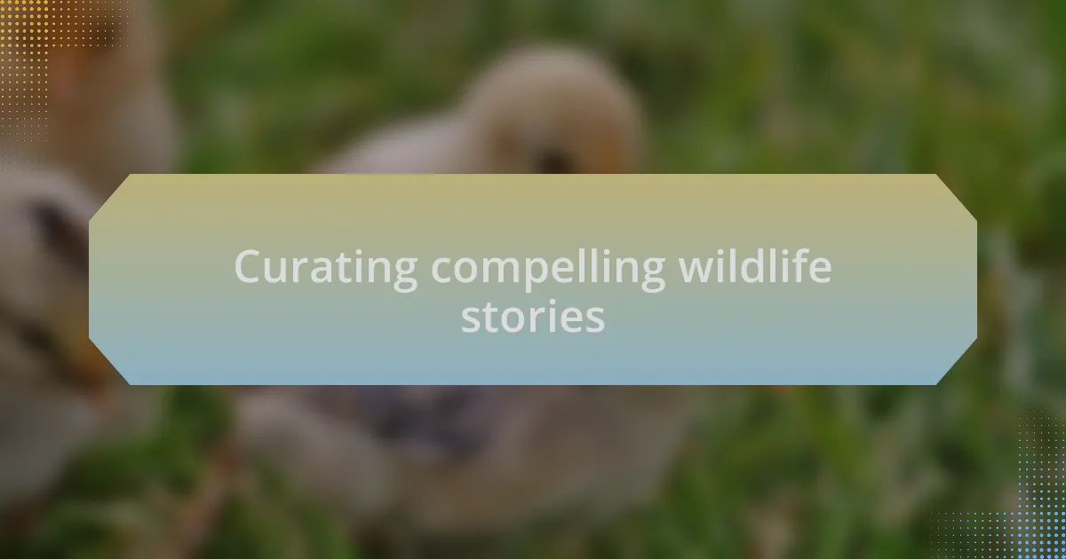 Curating compelling wildlife stories