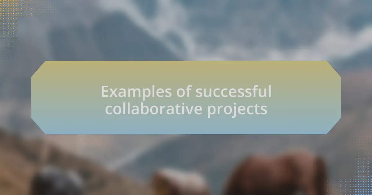Examples of successful collaborative projects