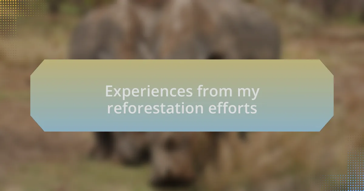 Experiences from my reforestation efforts