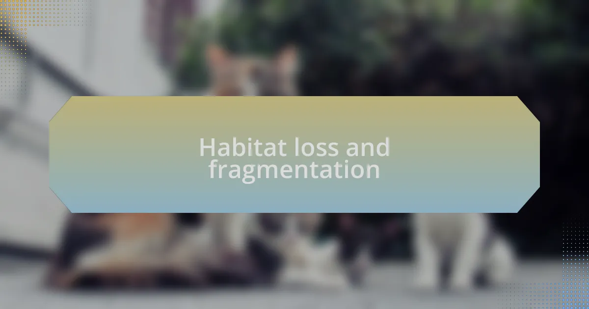 Habitat loss and fragmentation