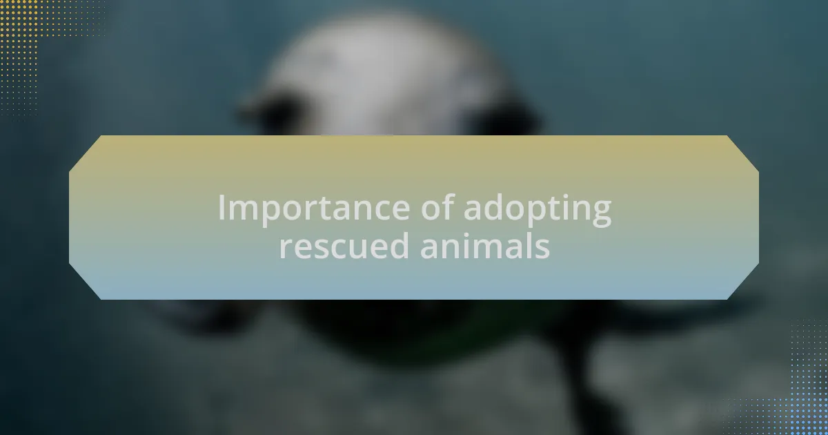 Importance of adopting rescued animals