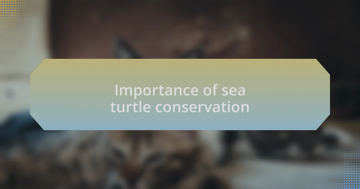 Importance of sea turtle conservation