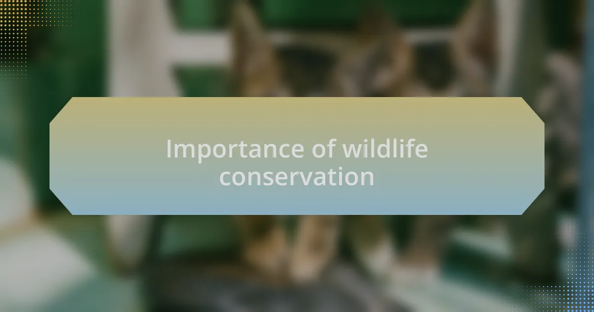 Importance of wildlife conservation