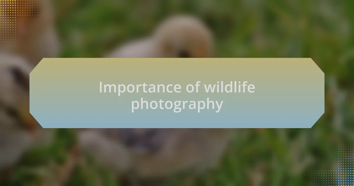 Importance of wildlife photography