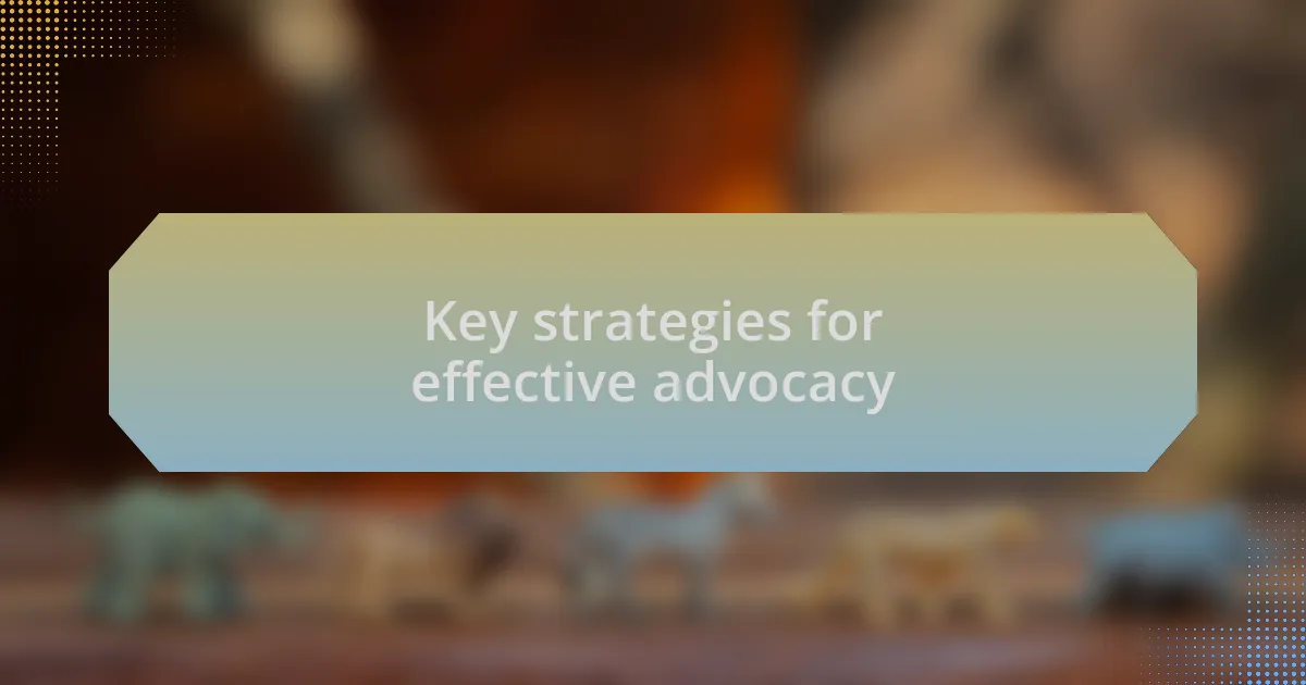Key strategies for effective advocacy