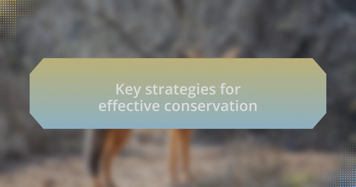 Key strategies for effective conservation