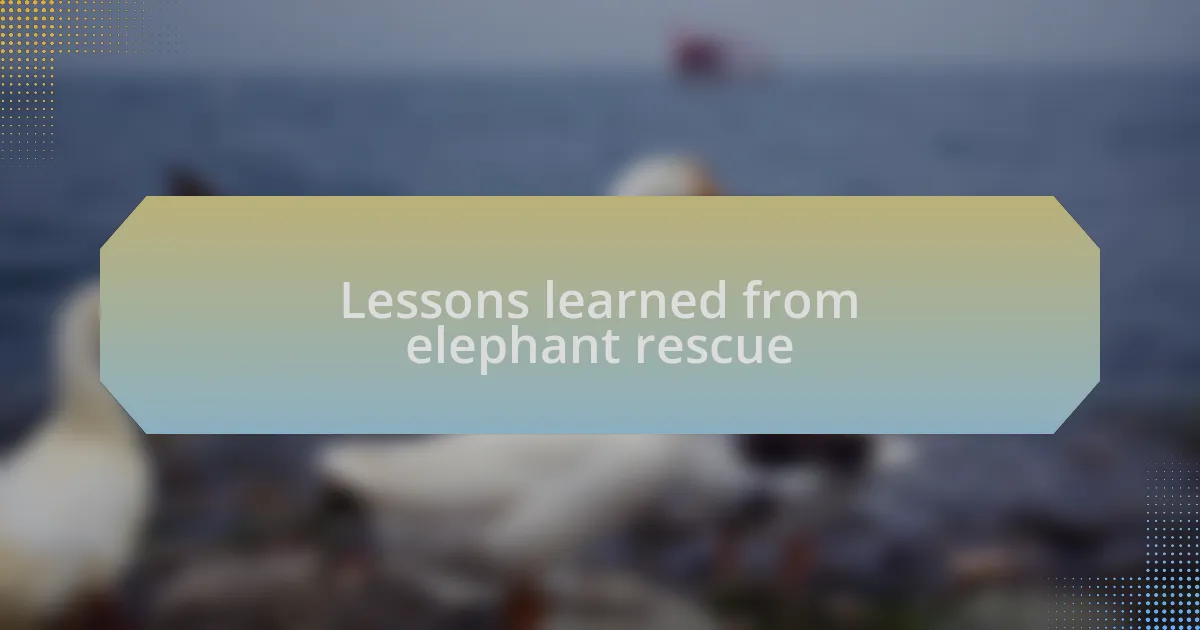 Lessons learned from elephant rescue