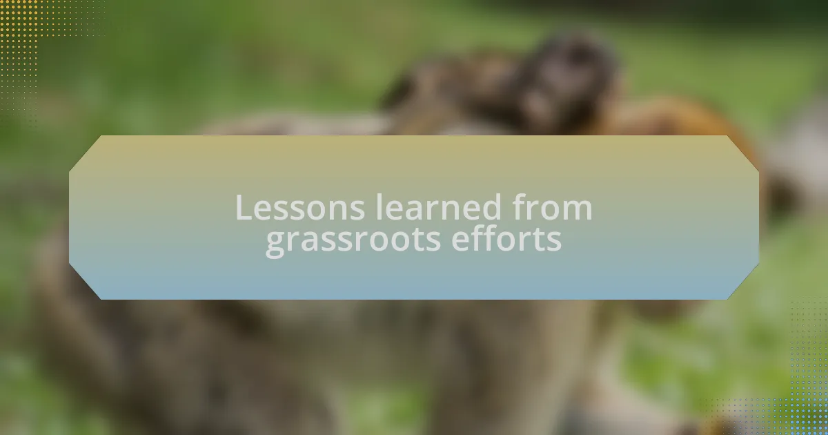 Lessons learned from grassroots efforts