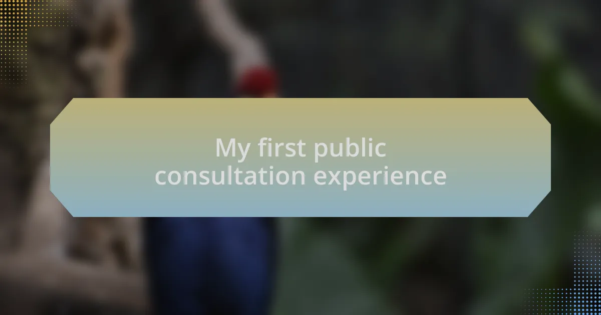 My first public consultation experience