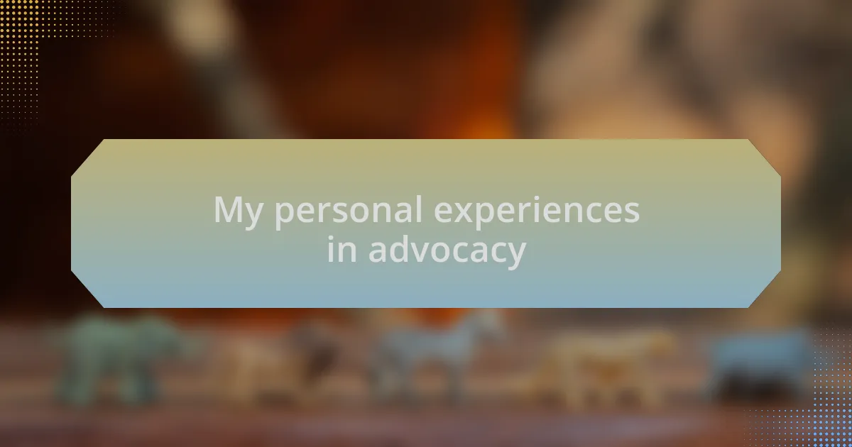 My personal experiences in advocacy