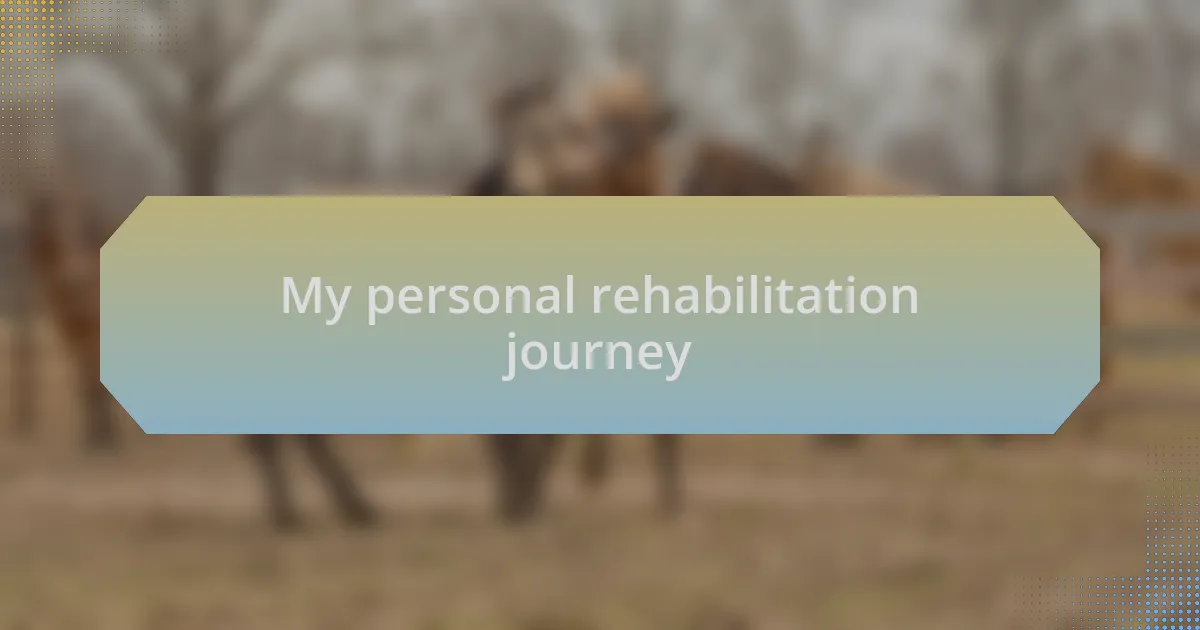 My personal rehabilitation journey