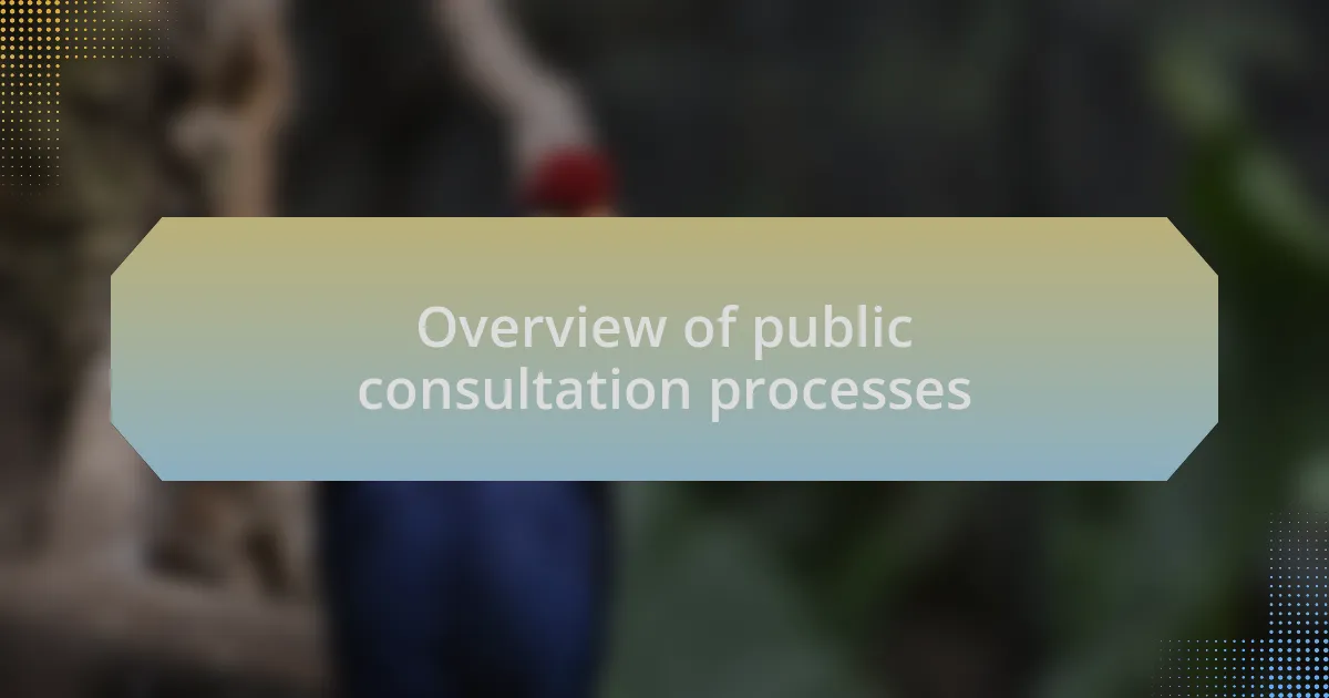 Overview of public consultation processes