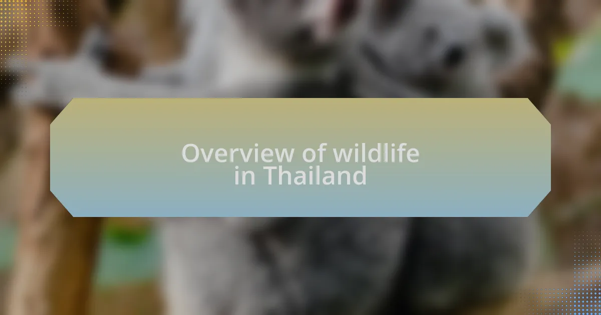 Overview of wildlife in Thailand