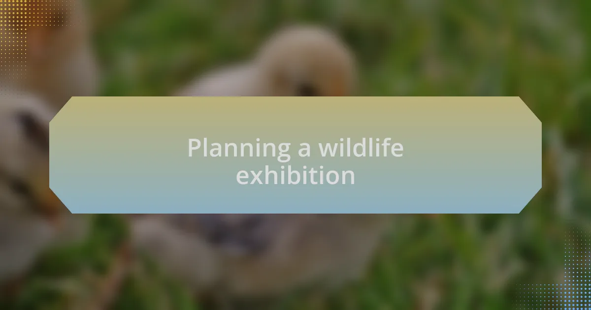 Planning a wildlife exhibition