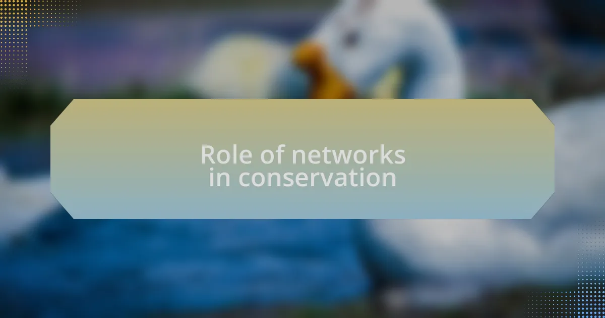Role of networks in conservation