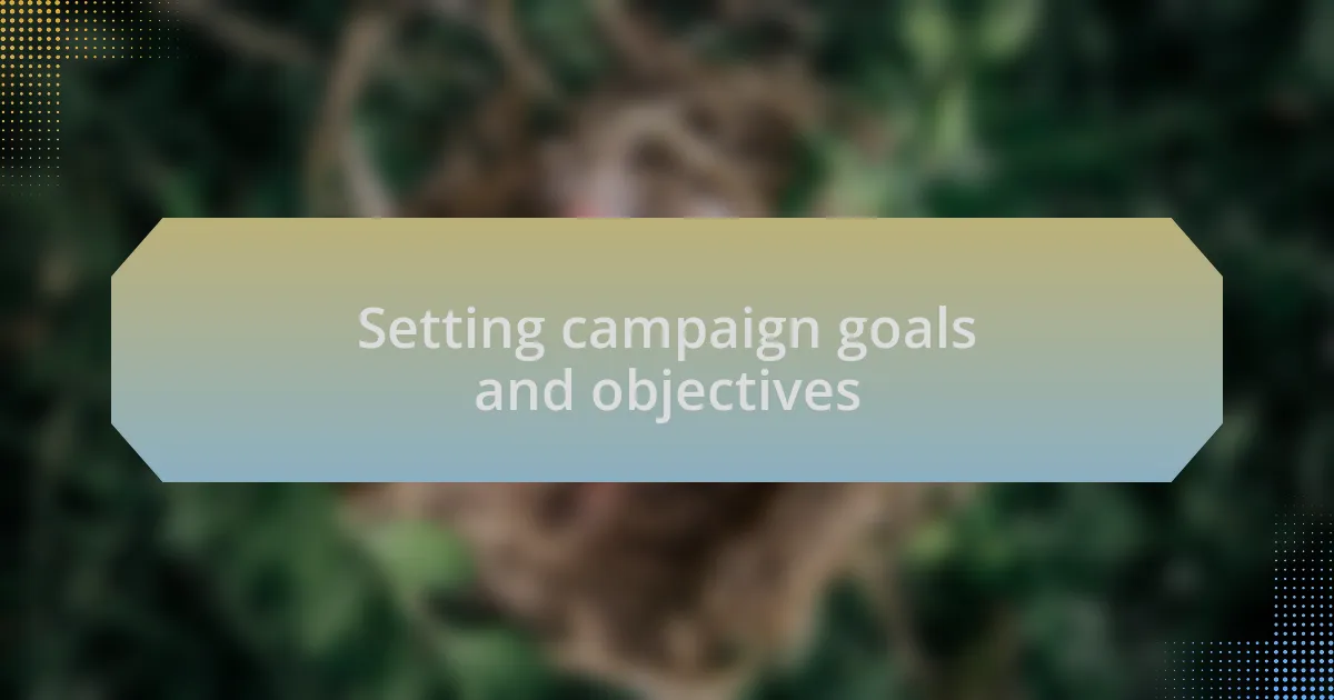 Setting campaign goals and objectives