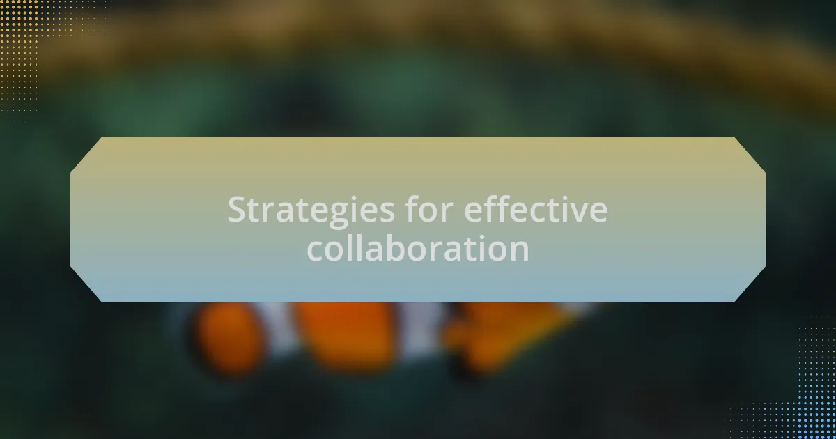 Strategies for effective collaboration