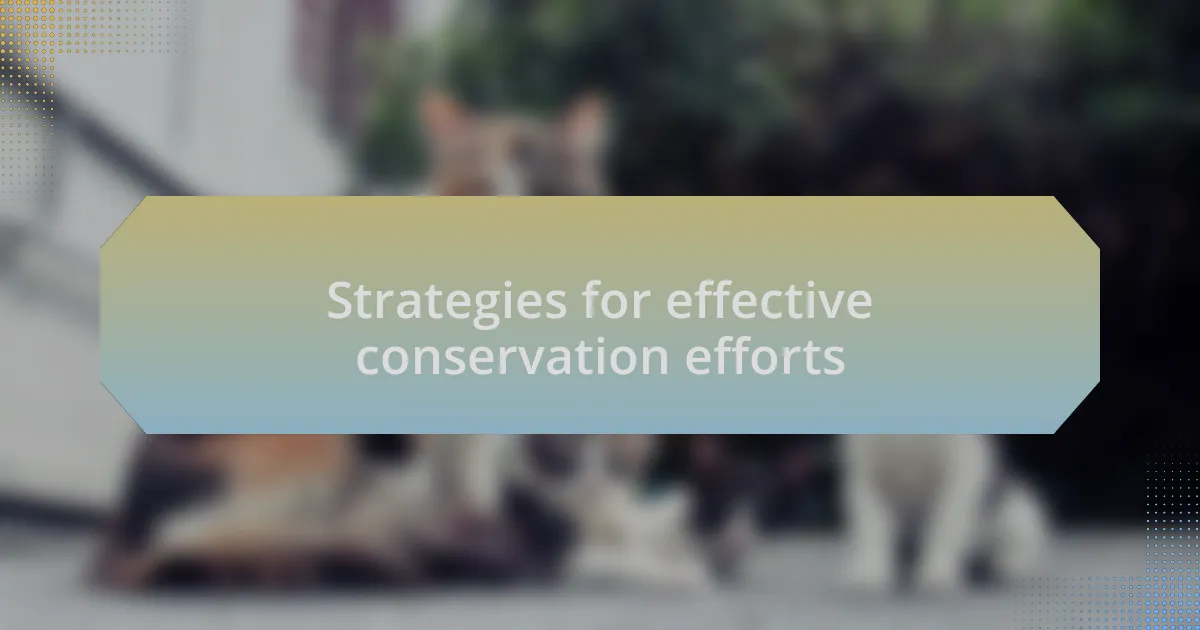 Strategies for effective conservation efforts