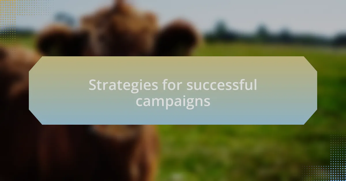 Strategies for successful campaigns