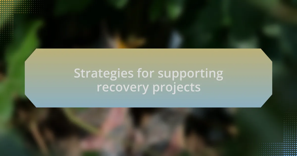 Strategies for supporting recovery projects