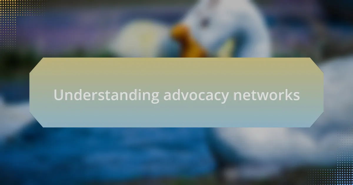 Understanding advocacy networks