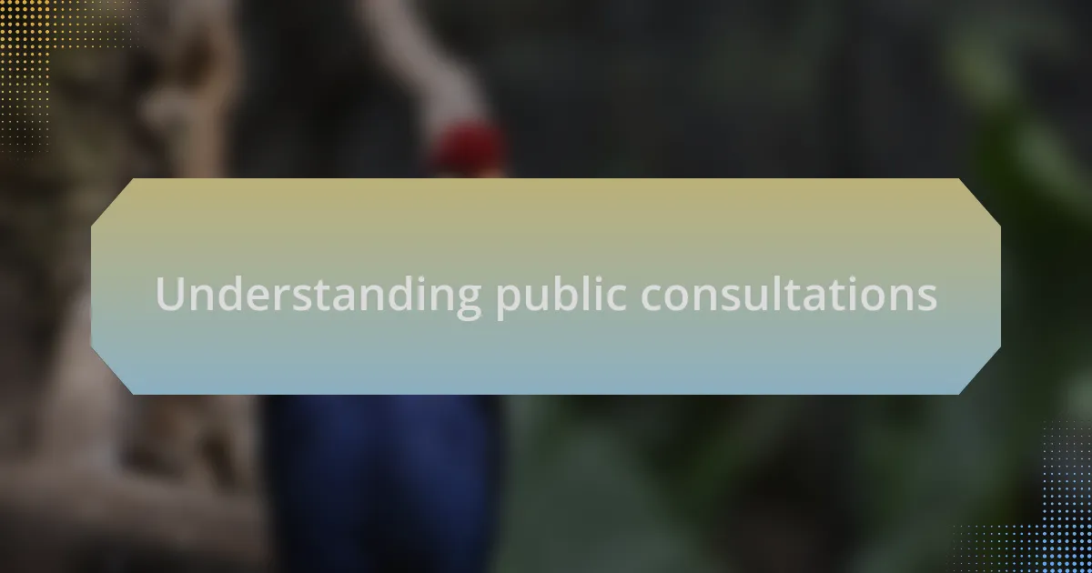Understanding public consultations