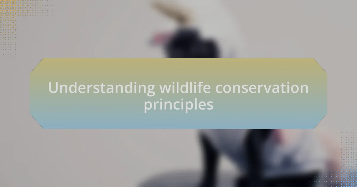 Understanding wildlife conservation principles