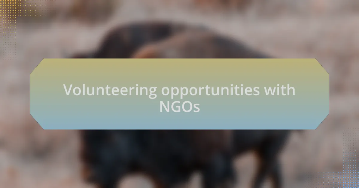 Volunteering opportunities with NGOs